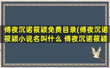 傅夜沉诺筱颖免费目录(傅夜沉诺筱颖小说名叫什么 傅夜沉诺筱颖小说名解答)
